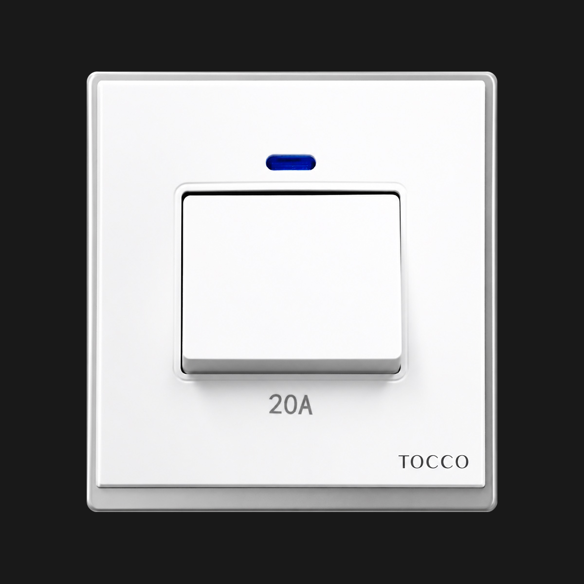 20-AMP-DP-Switch